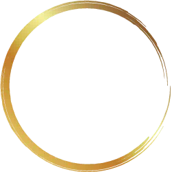 CircleX